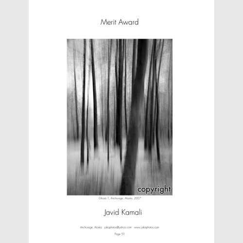 Merit Award - 2007